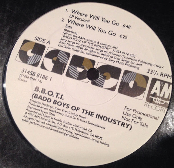 Badd Boys Of The Industry : Where Will You Go (12", Promo)