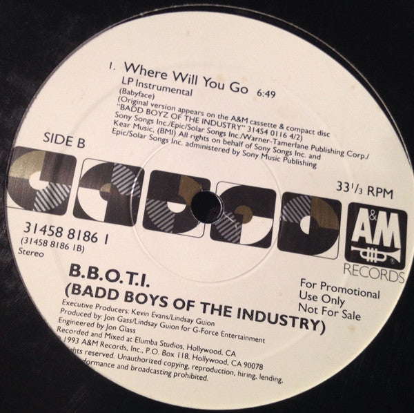 Badd Boys Of The Industry : Where Will You Go (12", Promo)