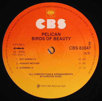 Birds Of Beauty : Pelican (LP, Album)