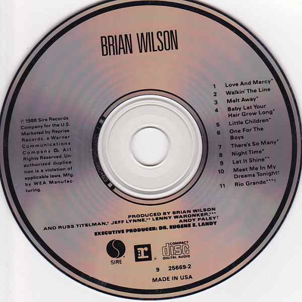 Brian Wilson : Brian Wilson (CD, Album)