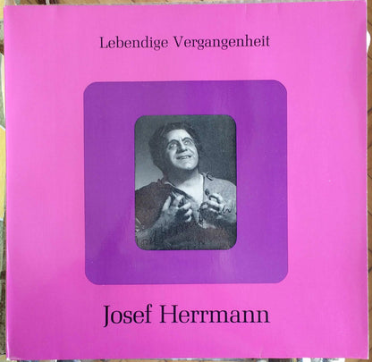 Josef Herrmann : Josef Herrmann (LP, Comp)