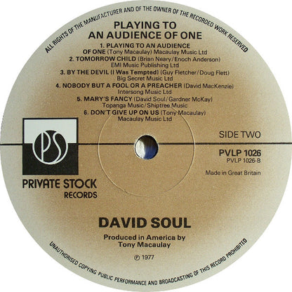 David Soul : Playing To An Audience Of One (LP, Album, Gat)