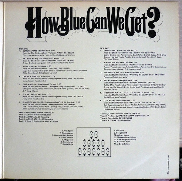 Various : How Blue Can We Get? (2xLP, Comp, Mono)