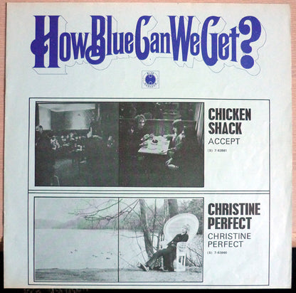 Various : How Blue Can We Get? (2xLP, Comp, Mono)