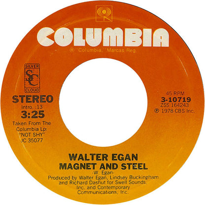 Walter Egan : Magnet And Steel / Tunnel O' Love (7", Styrene, Ter)