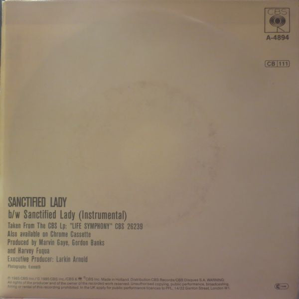 Marvin Gaye : Sanctified Lady (7", Single)