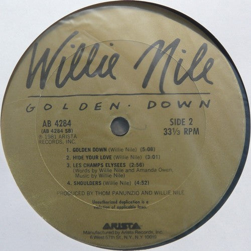 Willie Nile : Golden Down (LP, Album, Ter)