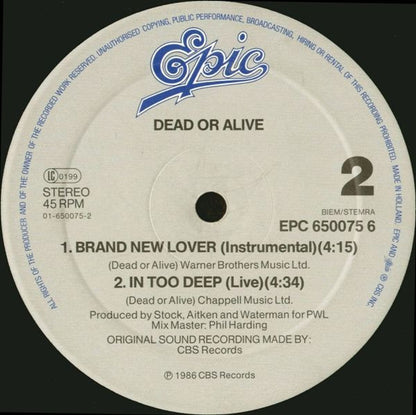 Dead Or Alive : Brand New Lover (12", Maxi)