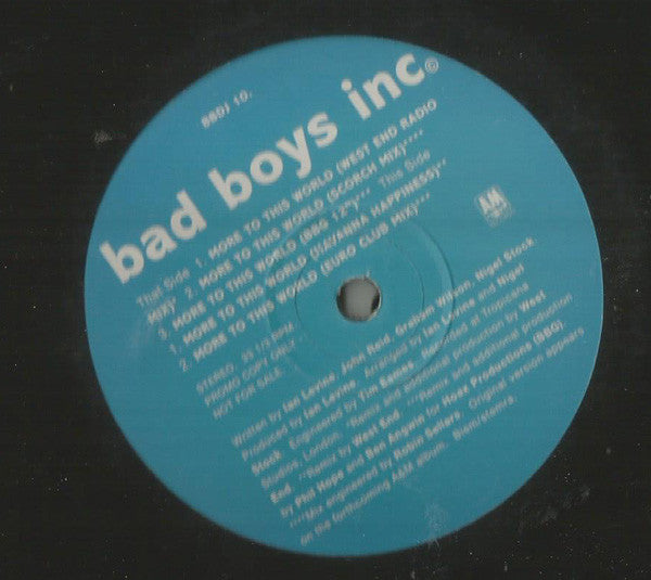 Bad Boys Inc. : More To This World (12", Promo)