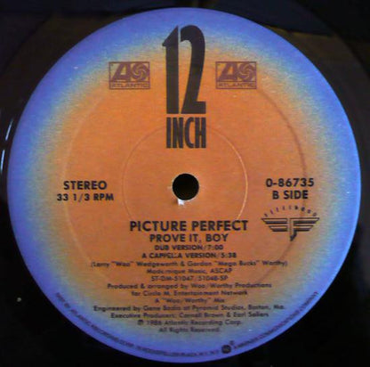 Picture Perfect (2) : Prove It, Boy (12", Single)