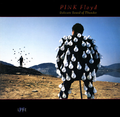 Pink Floyd : Delicate Sound Of Thunder (2xLP, Album)