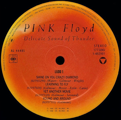 Pink Floyd : Delicate Sound Of Thunder (2xLP, Album)