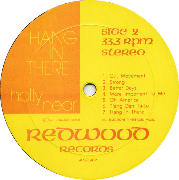 Holly Near : Hang In There (LP, Album)