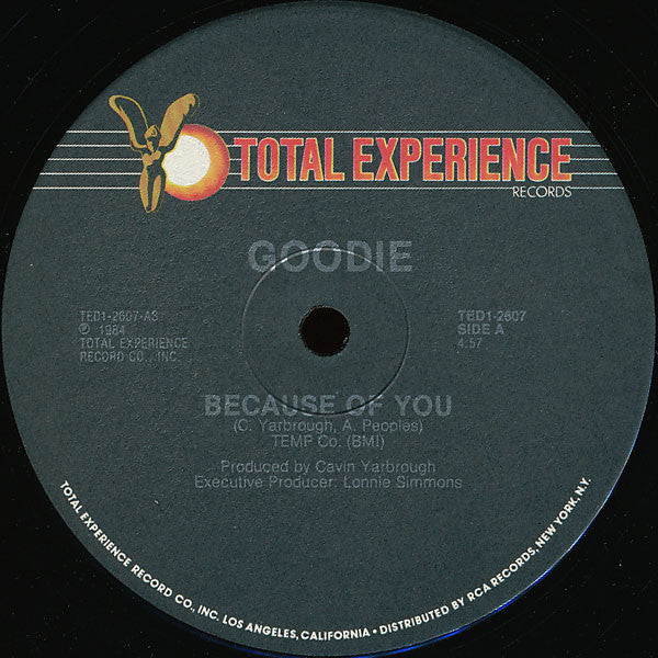 Goodie : Because Of You (12")