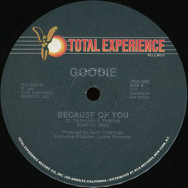 Goodie : Because Of You (12")