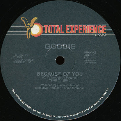 Goodie : Because Of You (12")