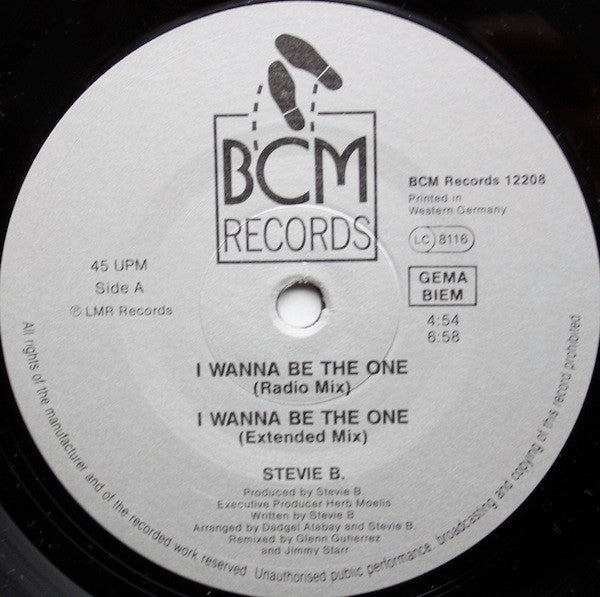 Stevie B : I Wanna Be The One (12")