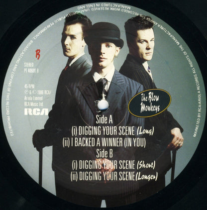 The Blow Monkeys : Digging Your Scene (12", Single)