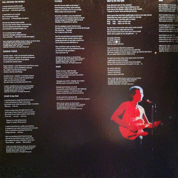 David Gates : First (LP, Album, Gat)