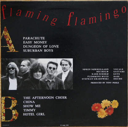 Janes Rejoice : Flaming Flamingo (LP, Album)