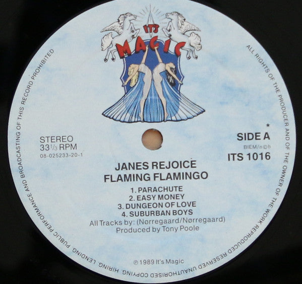 Janes Rejoice : Flaming Flamingo (LP, Album)