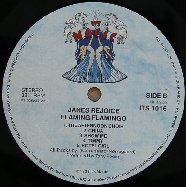 Janes Rejoice : Flaming Flamingo (LP, Album)