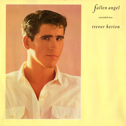 Trevor Herion : Fallen Angel (12")