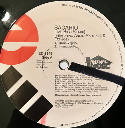 Sacario Featuring Angie Martinez & Fat Joe : Live Big (Remix) (12", Promo)