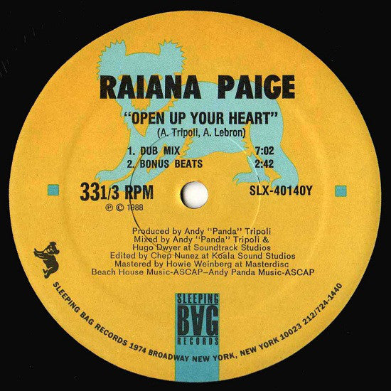 Raiana Paige : Open Up Your Heart (12")