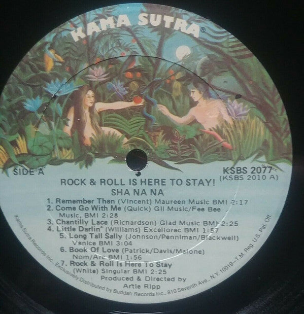 Sha Na Na : Rock And Roll Is Here To Stay (LP, Album, RE)