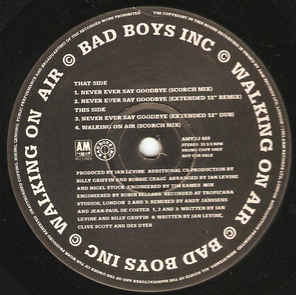 Bad Boys Inc. : Never Ever Say Goodbye (12", Promo)