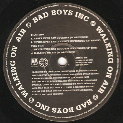 Bad Boys Inc. : Never Ever Say Goodbye (12", Promo)