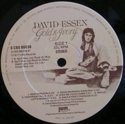 David Essex : Gold & Ivory (LP, Album)