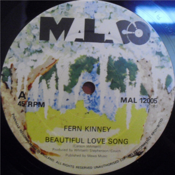 Fern Kinney : Beautiful Love Song (12")