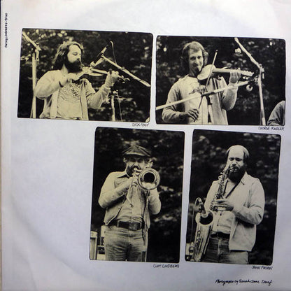 David Bromberg Band : Reckless Abandon (LP, Album)