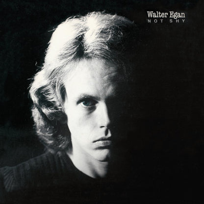 Walter Egan : Not Shy (LP, Album, Pit)