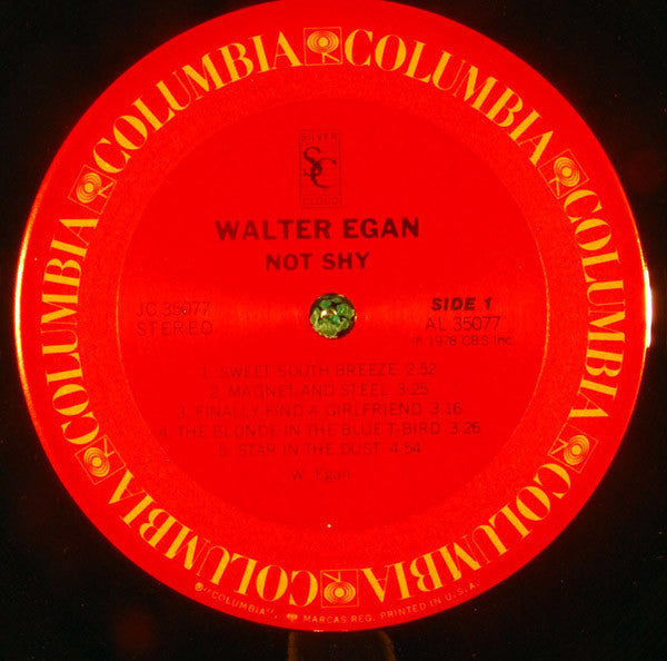 Walter Egan : Not Shy (LP, Album, Pit)