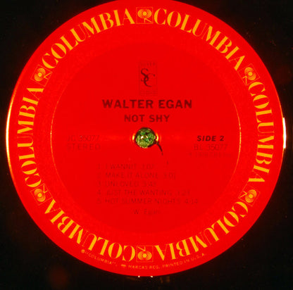 Walter Egan : Not Shy (LP, Album, Pit)