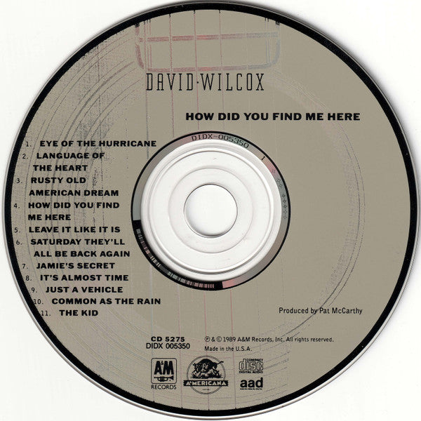 David Wilcox : How Did You Find Me Here (CD, Album)