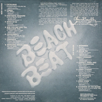 Various : Beach Beat Classics (LP, Comp)