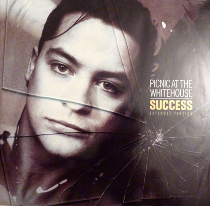 Picnic At The Whitehouse : Success (Extended Version) (12", Spe)