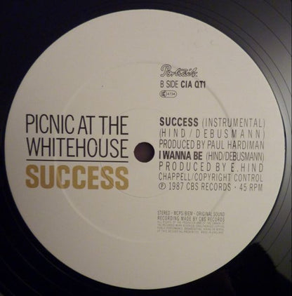 Picnic At The Whitehouse : Success (Extended Version) (12", Spe)