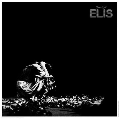 Elis Regina : Trem Azul (2xLP, Album, Gat)