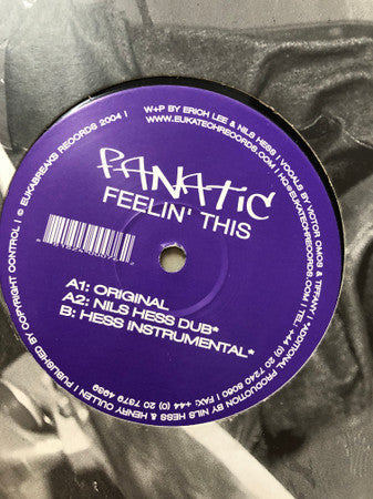 Fanatic (3) : Feelin' This (12")