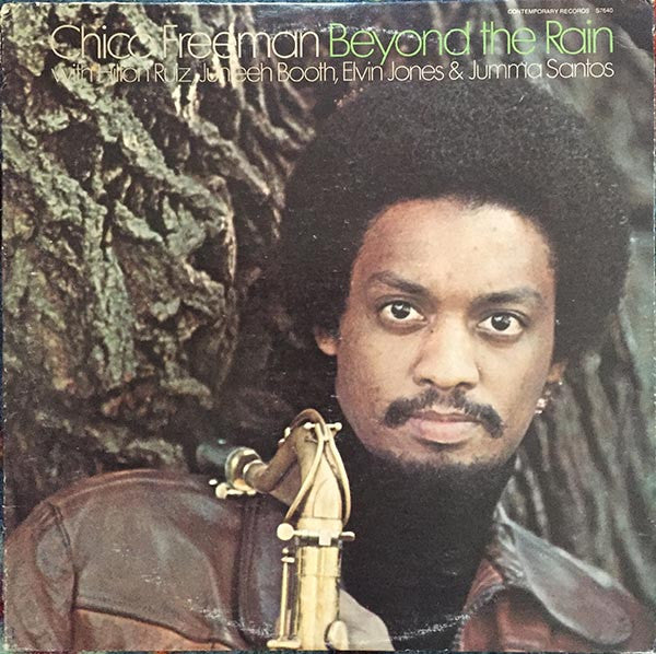 Chico Freeman : Beyond The Rain (LP, Album)