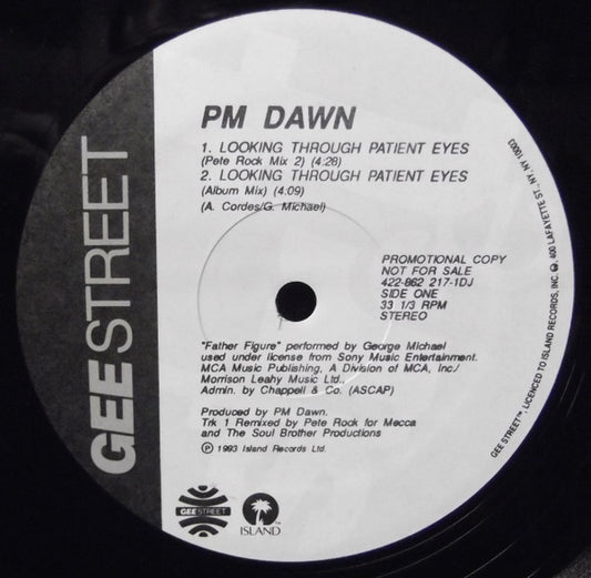 P.M. Dawn : Looking Through Patient Eyes (12", Promo)