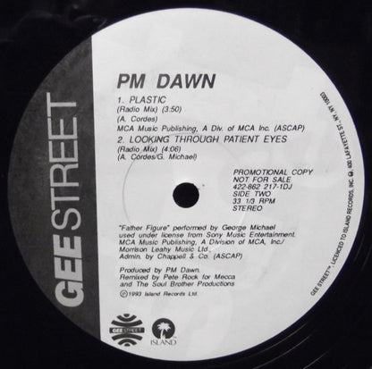 P.M. Dawn : Looking Through Patient Eyes (12", Promo)