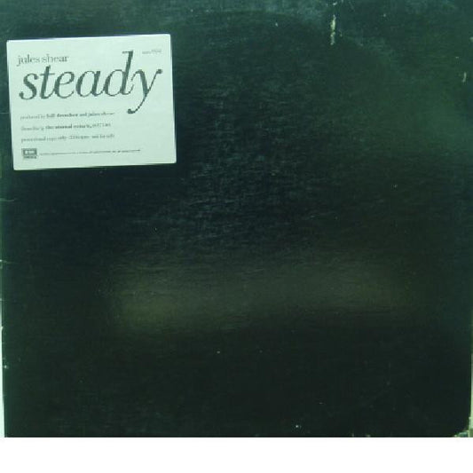 Jules Shear : Steady (12", Single, Promo)