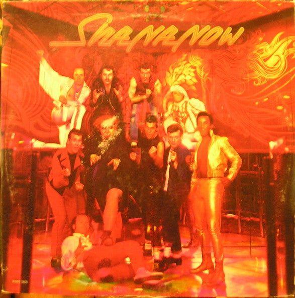 Sha Na Na : Sha Na Now (LP, Album)