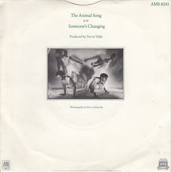 Europeans : The Animal Song (7", Single)